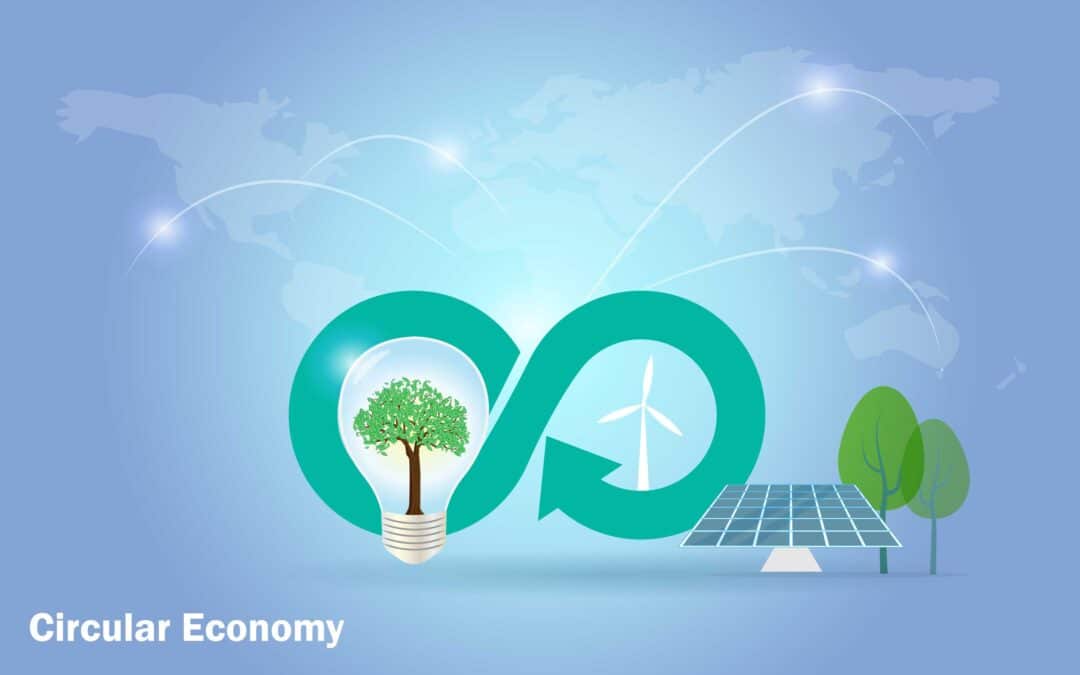 La Transición Energética: Economía Circular